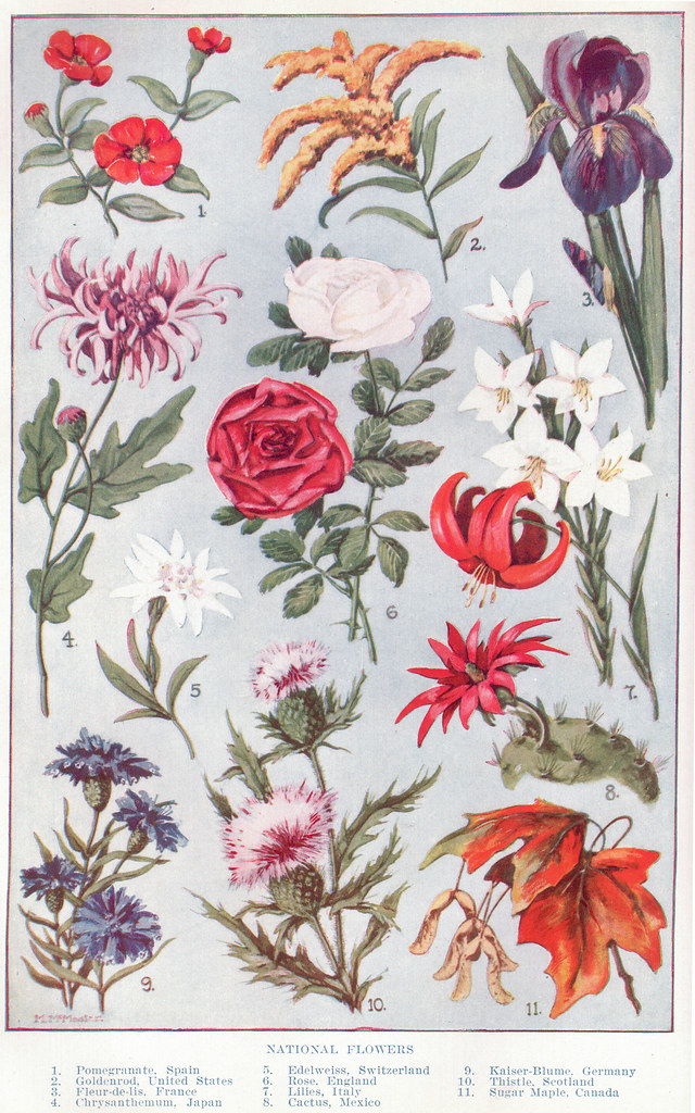 Floral Design Education in Arkansas: Classes, Workshops and Career Paths